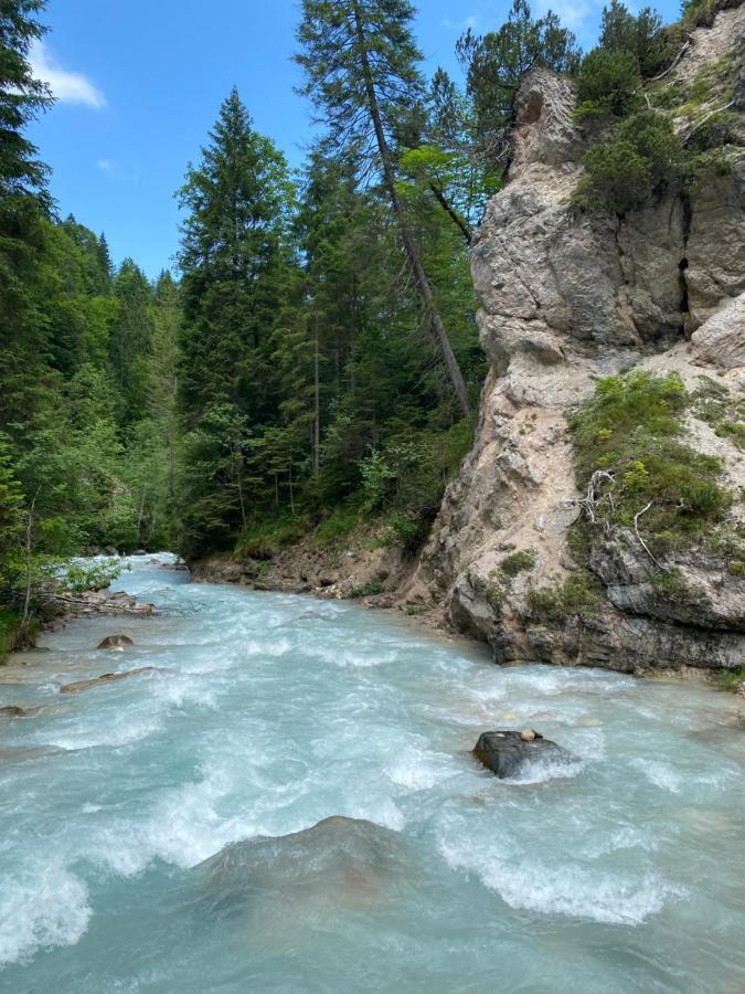 Apartmán Im- Oberland - Berg - Koenigscard Bad Kohlgrub Exteriér fotografie