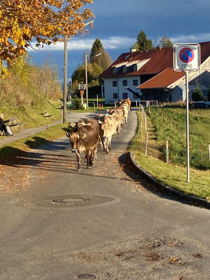 Apartmán Im- Oberland - Berg - Koenigscard Bad Kohlgrub Exteriér fotografie