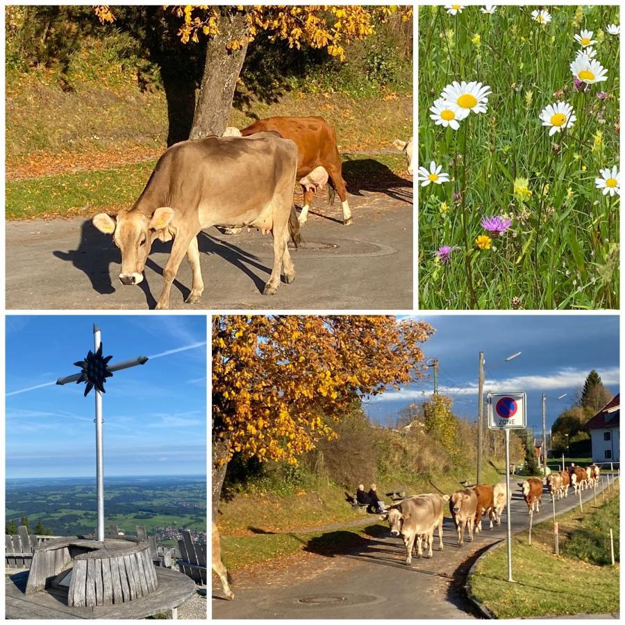 Apartmán Im- Oberland - Berg - Koenigscard Bad Kohlgrub Exteriér fotografie